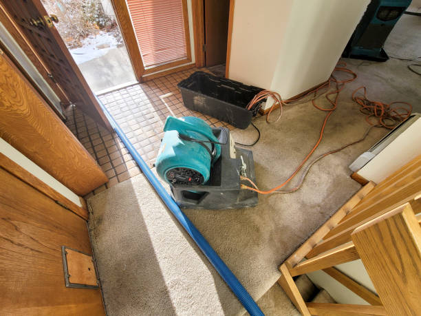 Best Water damage restoration near me  in Columbia City, OR