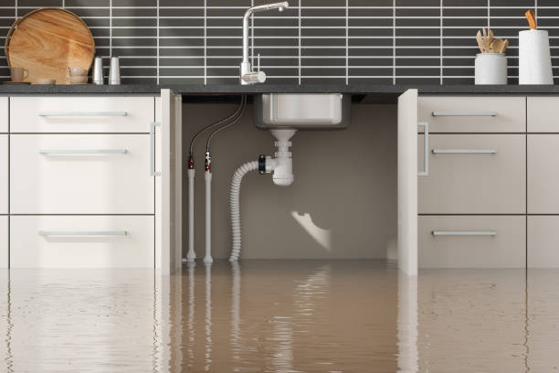 Reliable OR Water damage restoration Solutions